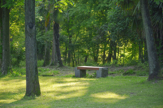 林中长凳