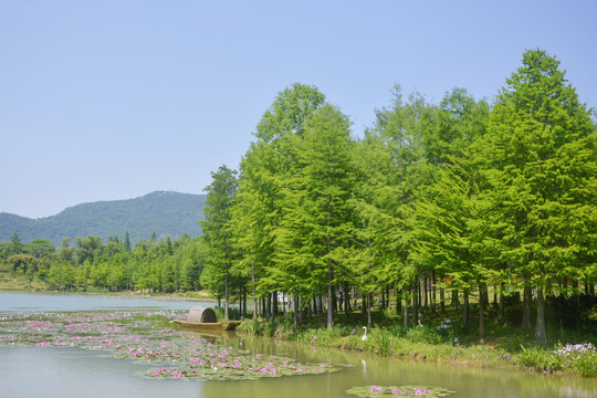 唯美湖景