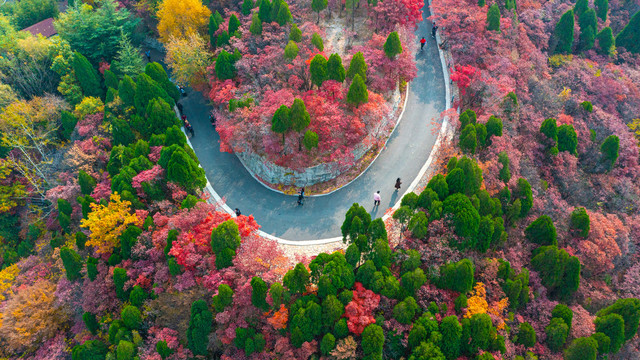 秋天山路