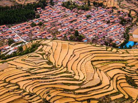 莒县龙山梯田