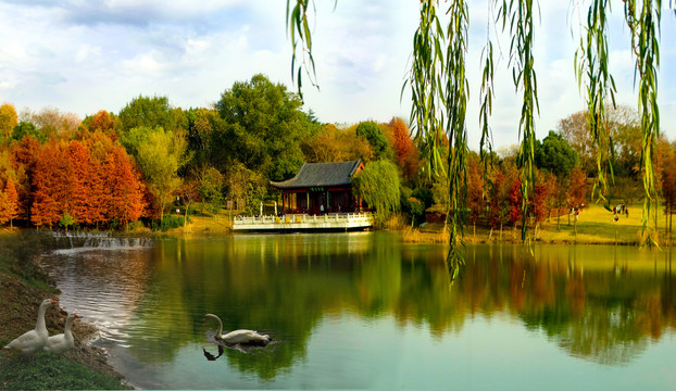 湖边风景