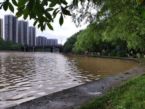 湖边水岸