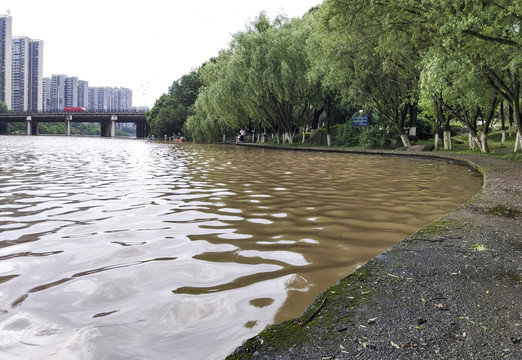 湖边水岸