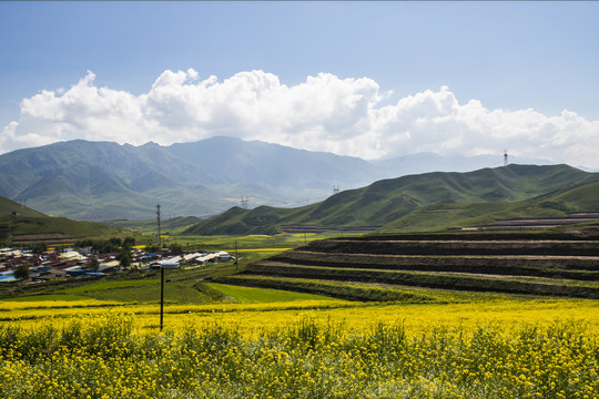 山林间