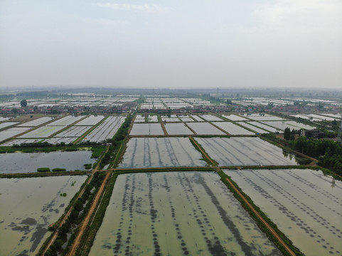 航拍潜江小龙虾养殖基地