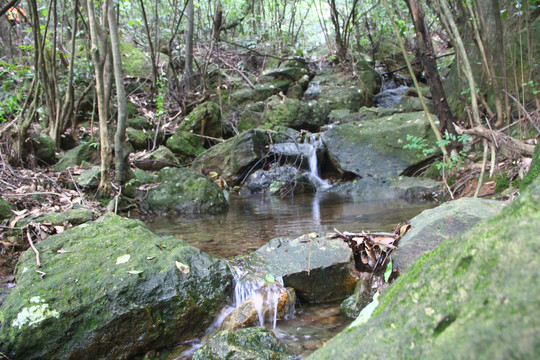 野外清泉小溪流