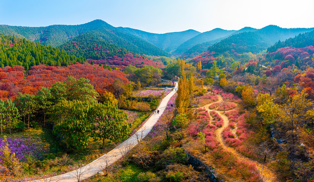 官护山