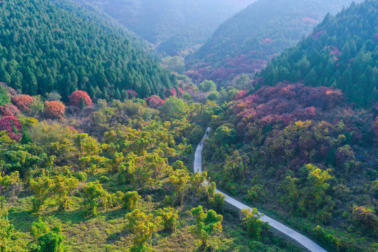 官护山