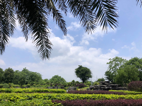 蓝天白云下的桂林旅游学院校园