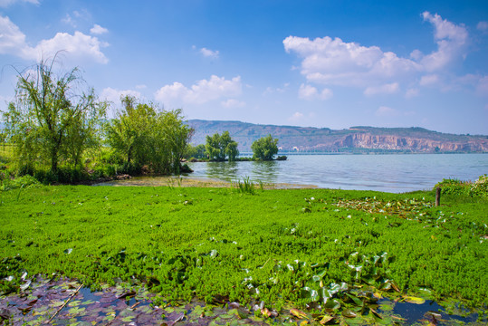 昆明晋宁国家湿地