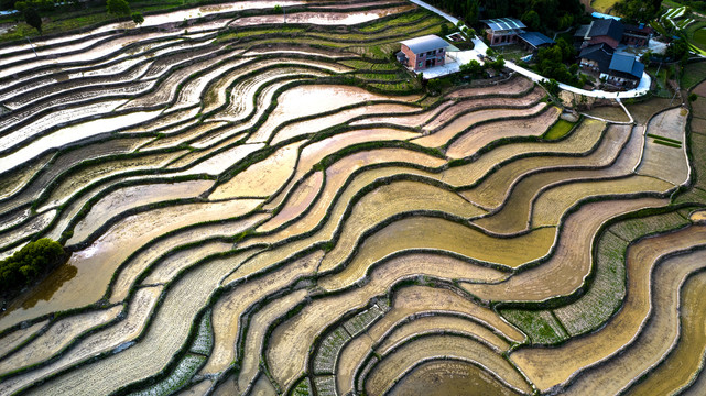 南川盐井梯田