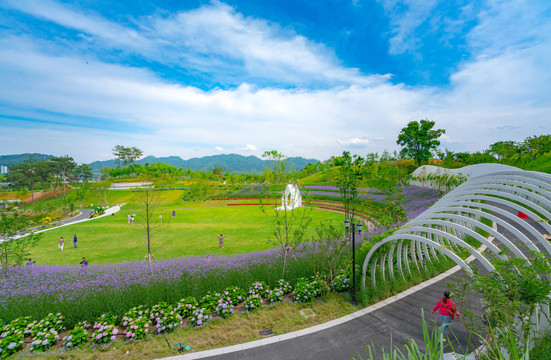 植物园花园广场