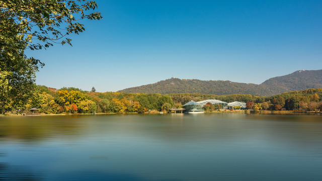 南京钟山风景区前湖风光