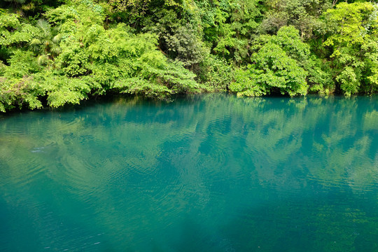 绿水青山