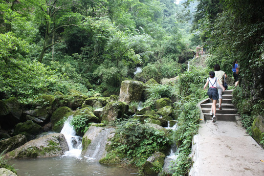 山中石道