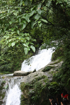 山中溪流