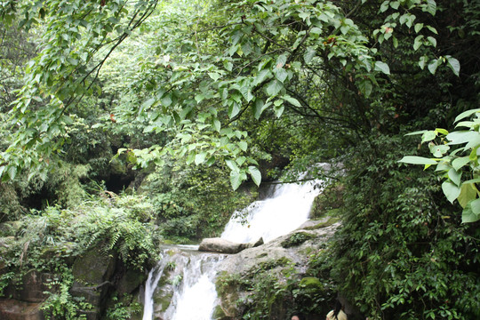 山中溪流