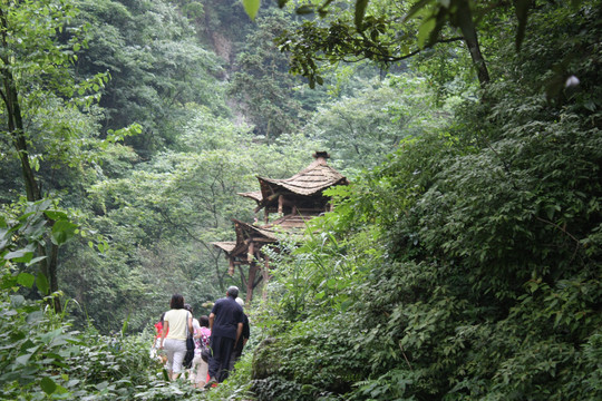 深山藏古寺