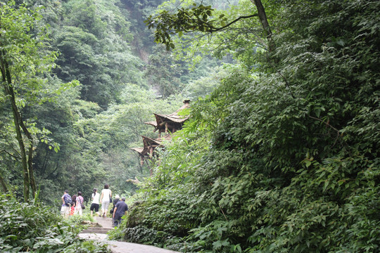 深山藏古寺
