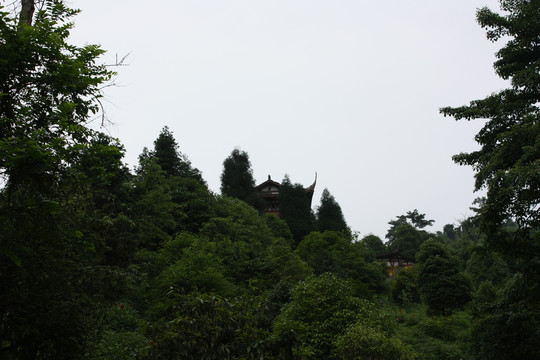 山林