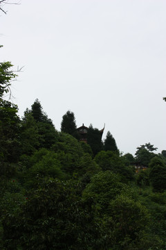 山林