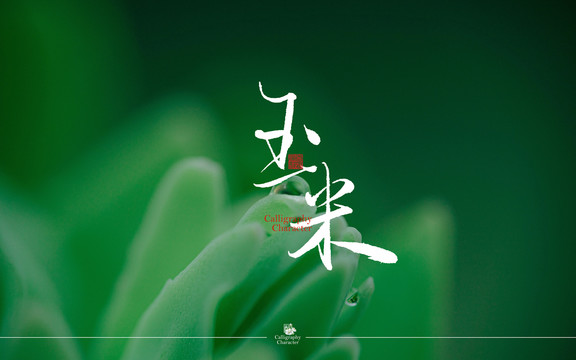 玉米书法字
