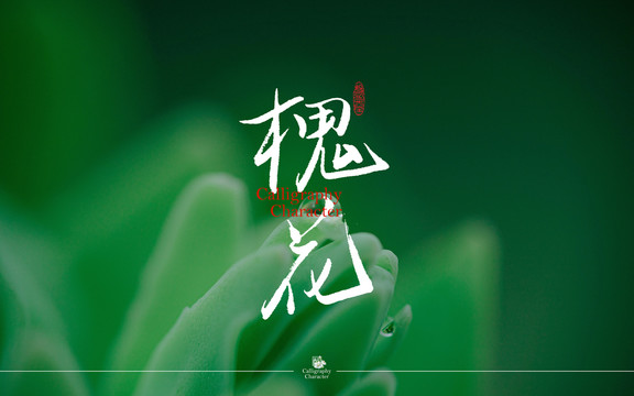 槐花书法字体