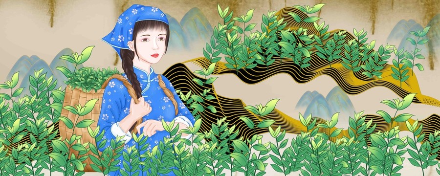 采茶女插画