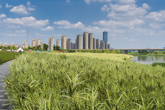 绍兴上虞曹娥江江滨城市景观