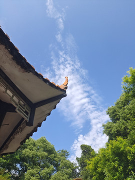 蓝天屋檐