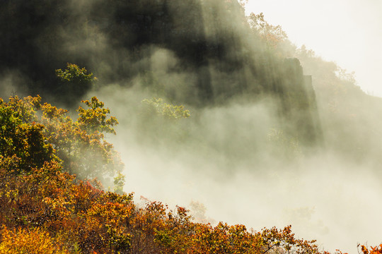 秋季云雾森林山峦