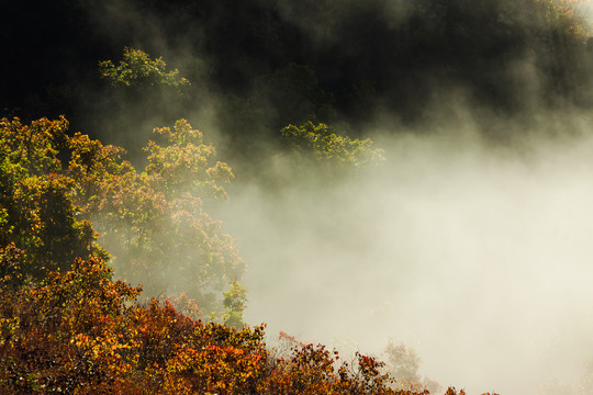 秋季山中云雾