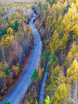 秋季森林道路俯拍