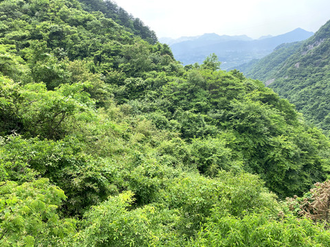 大别山