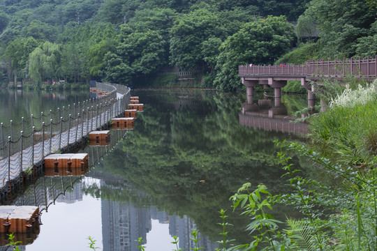 城市里的湿地公园