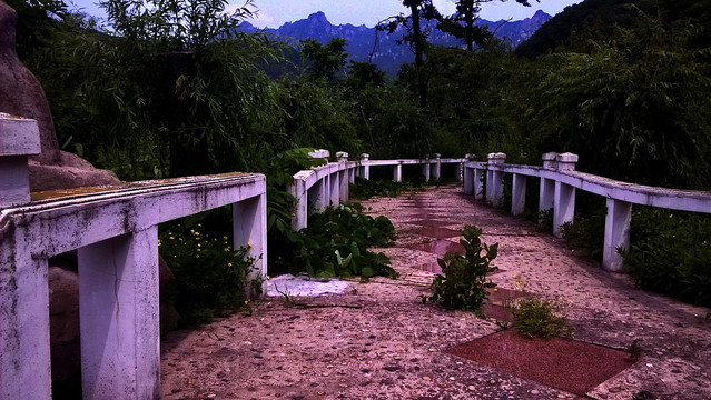 废弃的石桥