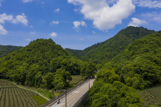 杭州西湖梅灵路梅家坞