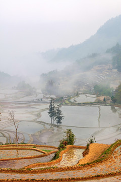 元阳梯田