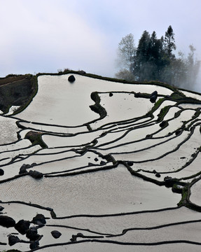 元阳梯田