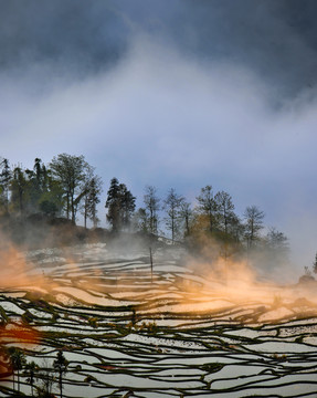 元阳梯田