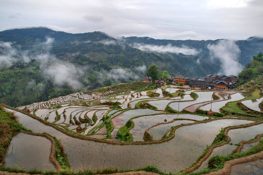 元阳梯田