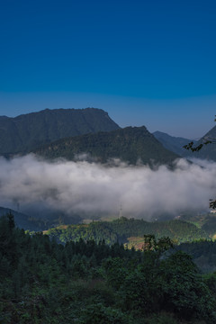 大山云雾雾景