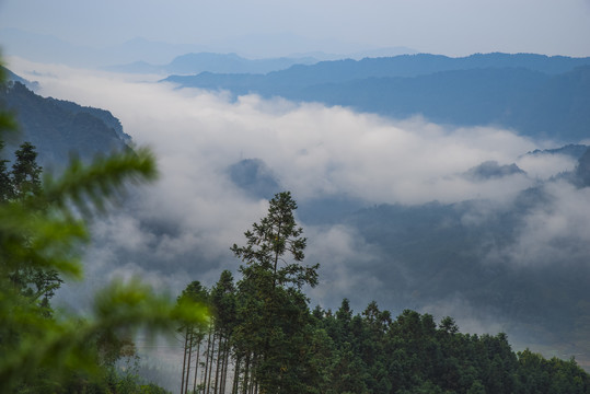 大山云雾雾景美丽唯美风景