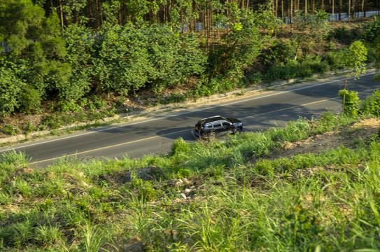 山区公路树木车辆国道