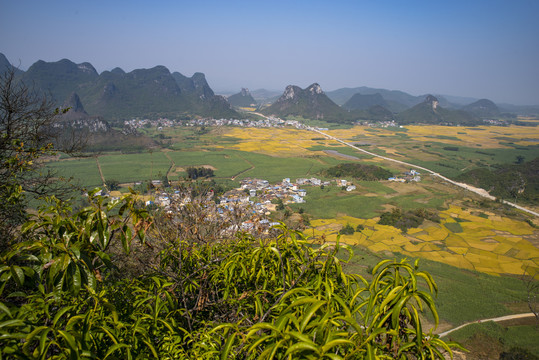 乡村田园风光稻田风景