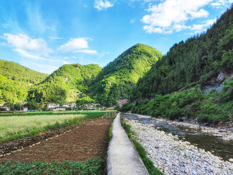 乡村河流田园风光