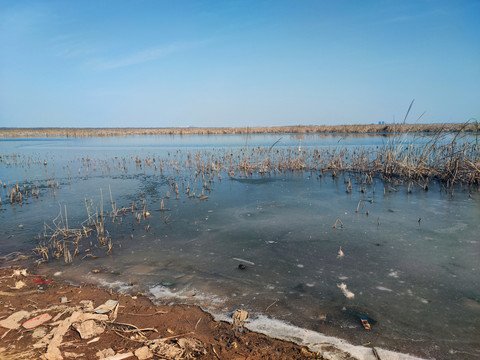 衡水湖