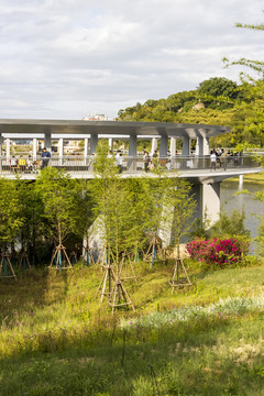 厦门东坪山林海健康步道风光