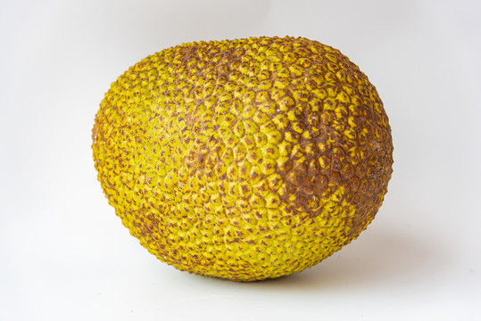 成熟的热带水果菠萝蜜