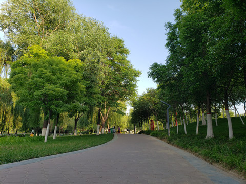郑州莲花公园